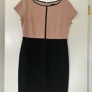 Elegant Tan and Black Dress